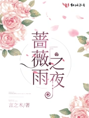蔷薇雨之夜